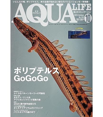 Amazon | おとひめ EP3 100g 沈下性 中型観賞魚 金魚 シクリッド